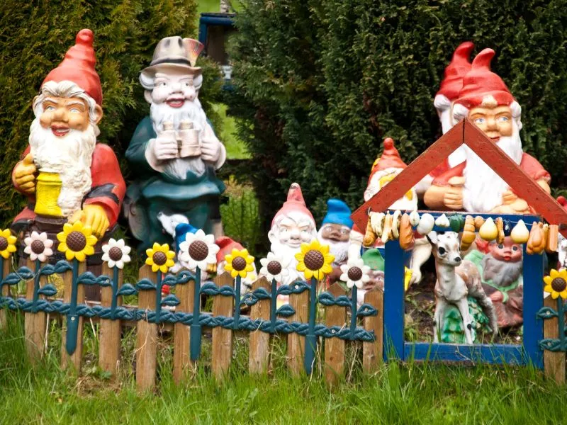 Zwergengipfel im Rabatten: Protokoll einer stillschweigenden Koexistenz
